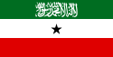 Shipping from USA to Somaliland, Shipping from USA to Africa, 